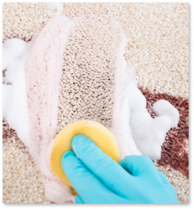 http://Upholstery%20&%20Curtain%20Cleaning