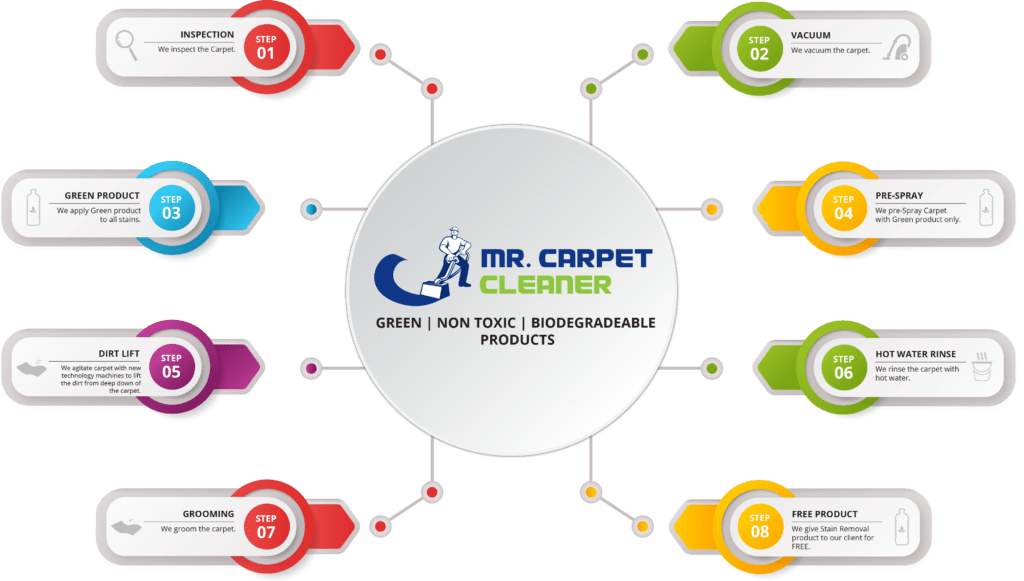 Mr. Carpet Cleaner
